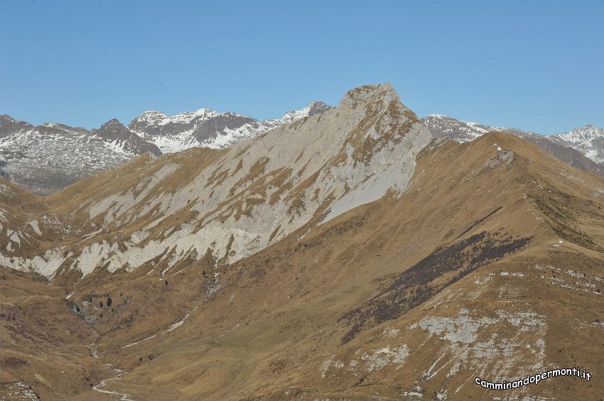 111 Cima Valmora.JPG